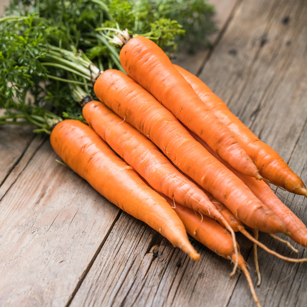 Carrot Juice Benefits for Skin 