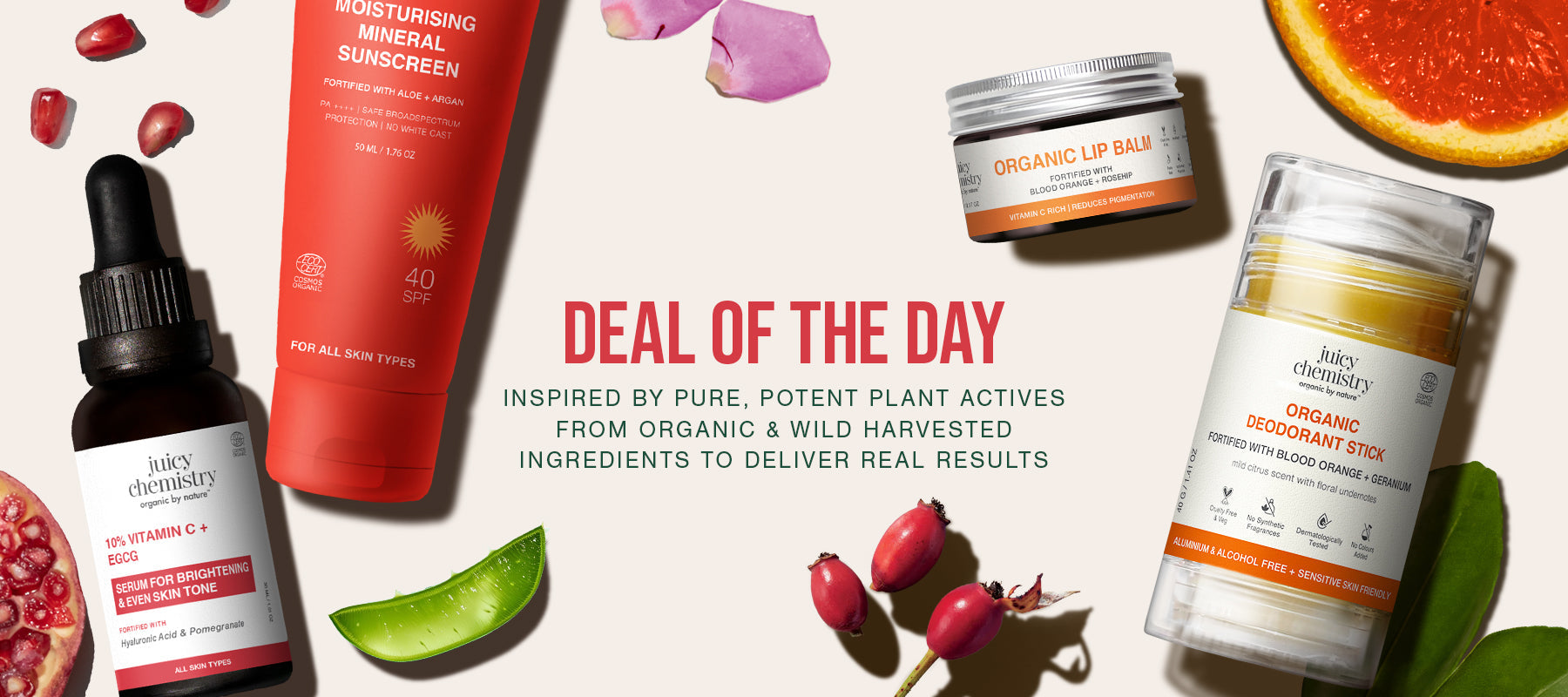 Deal Of The Day