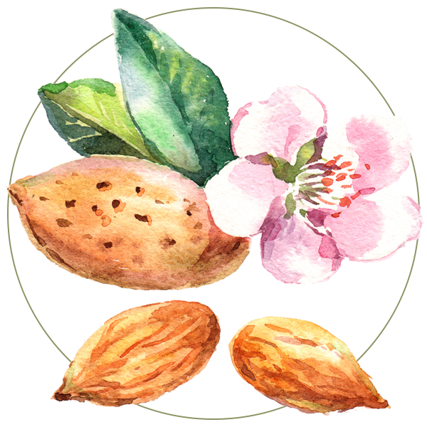 Almond