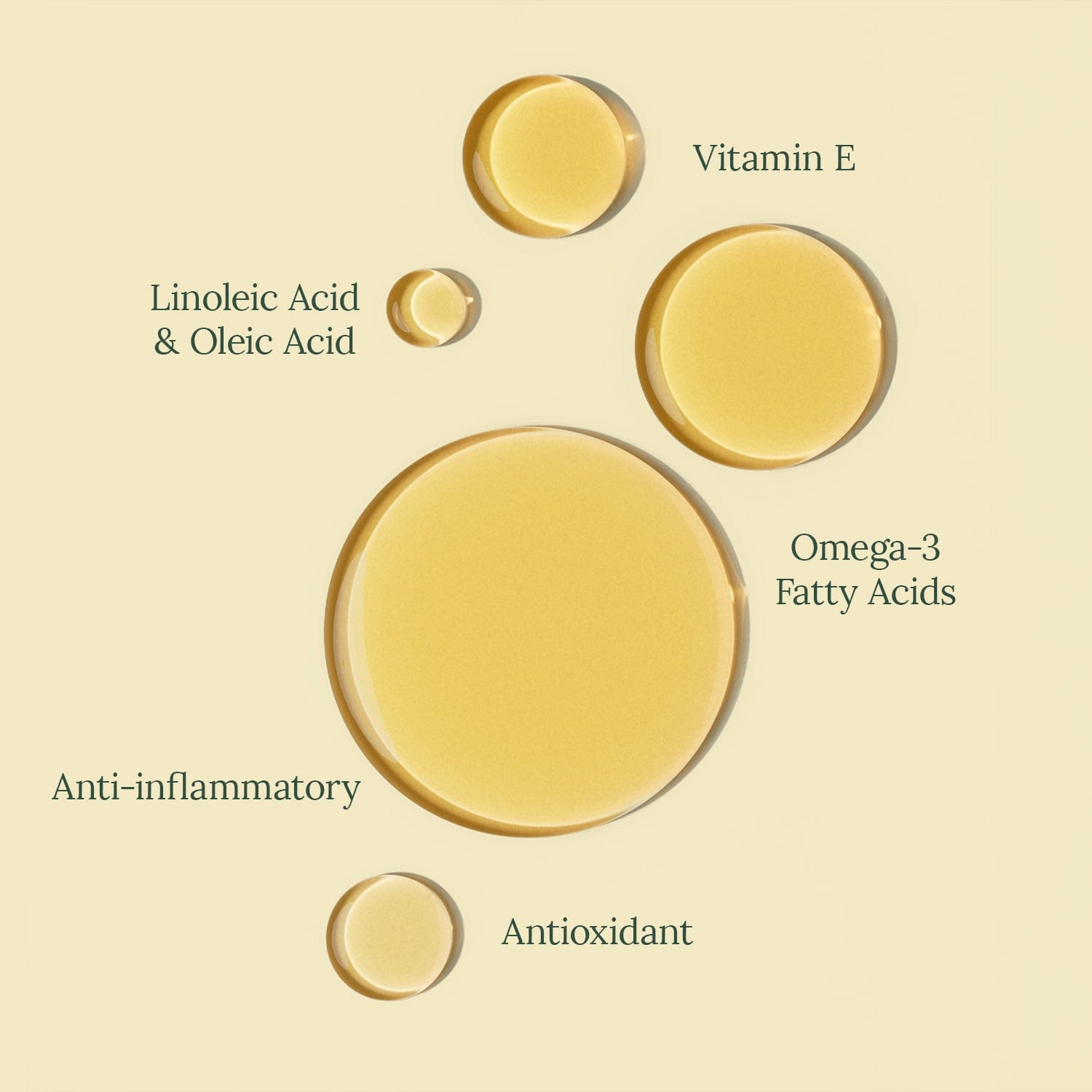 Organic Pumpkin Seed Oil