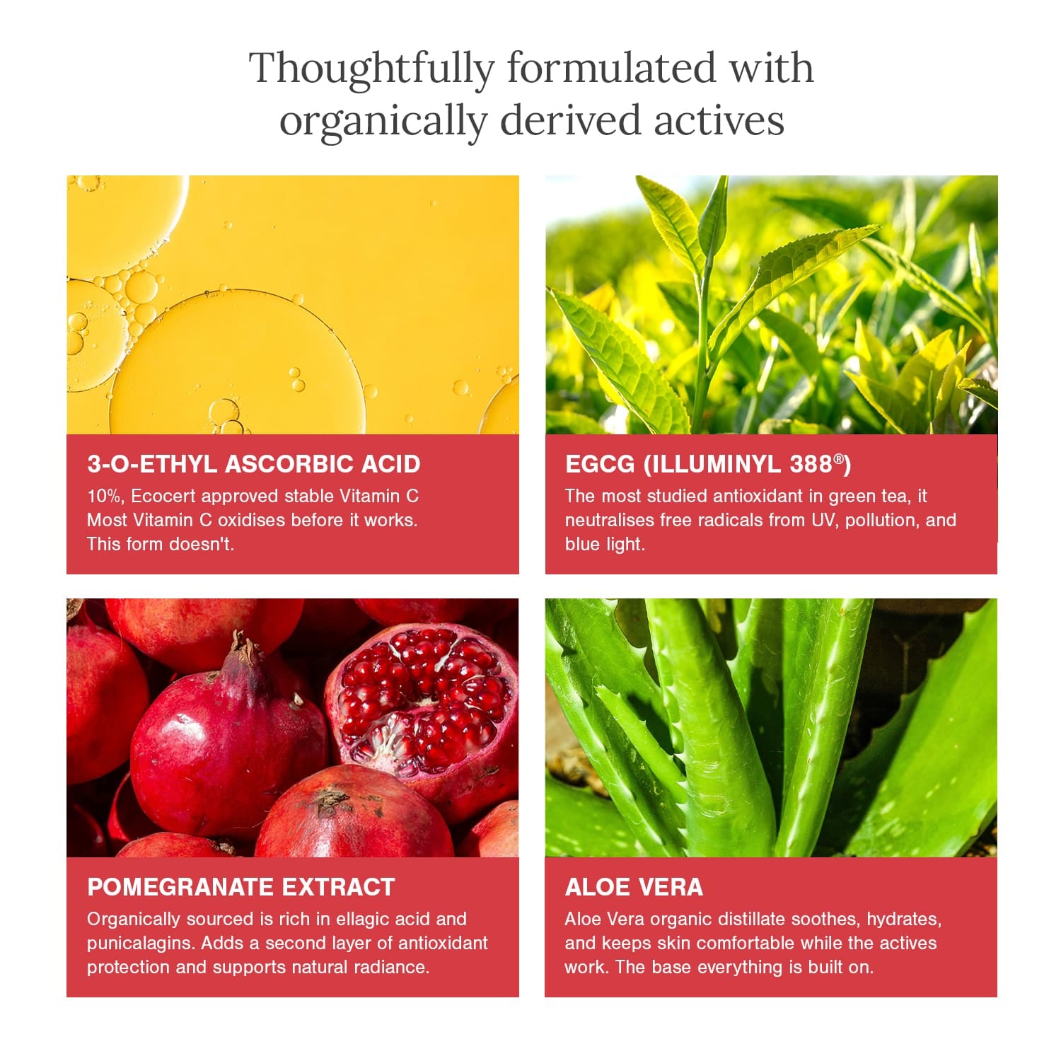 10% Vitamin C + EGCG Face Serum