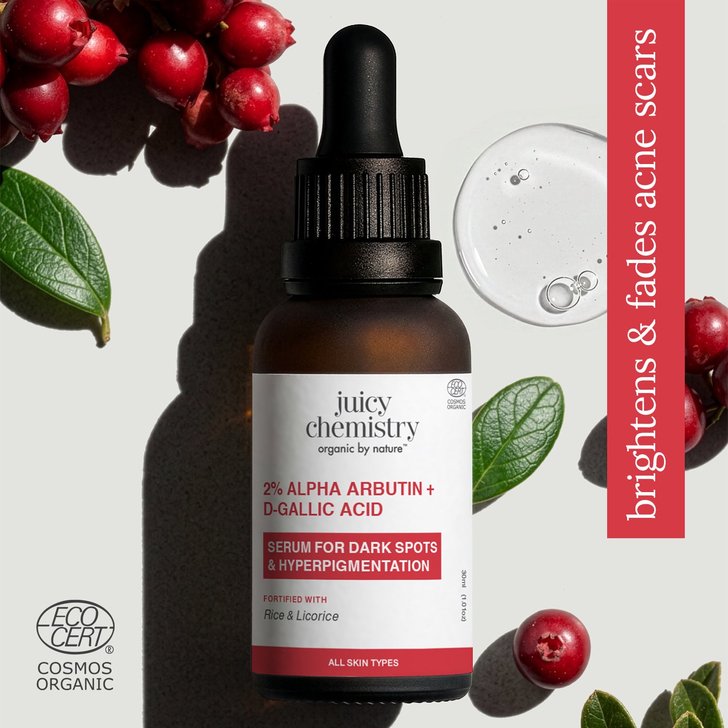 2% Alpha Arbutin + D-Gallic Acid Natural Face Serum
