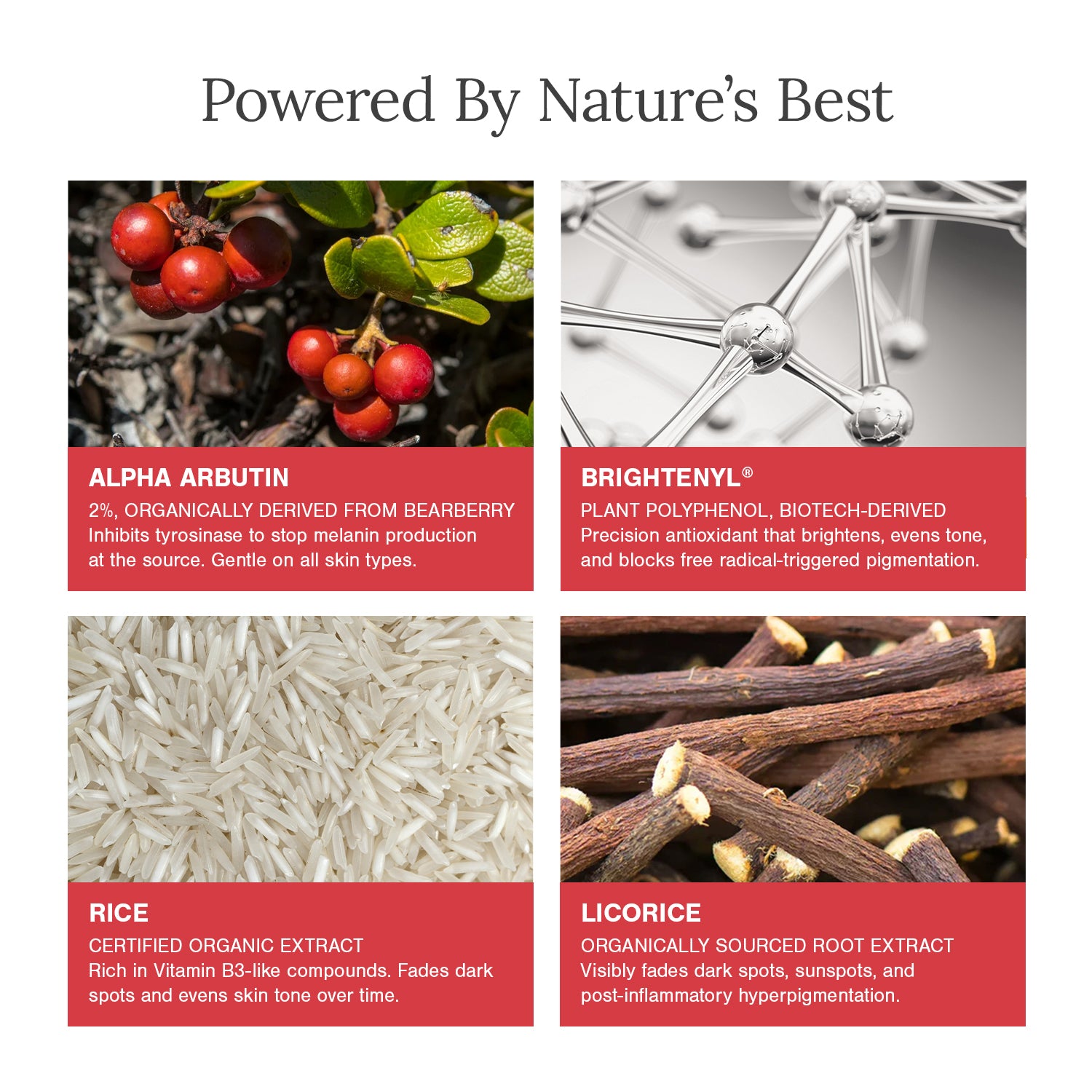2% Alpha Arbutin + D-Gallic Acid Natural Face Serum
