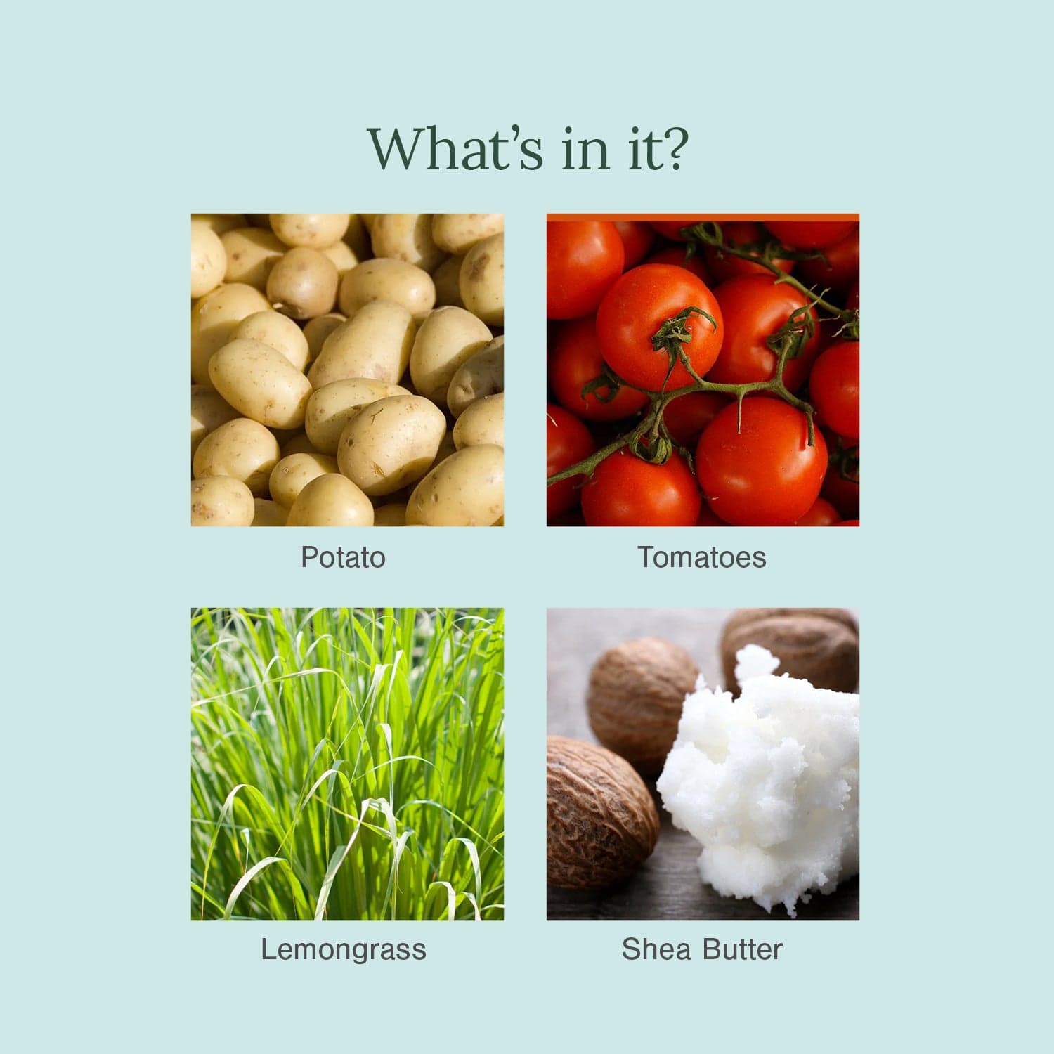 Ultra Moisturising & Luxury Organic Soap