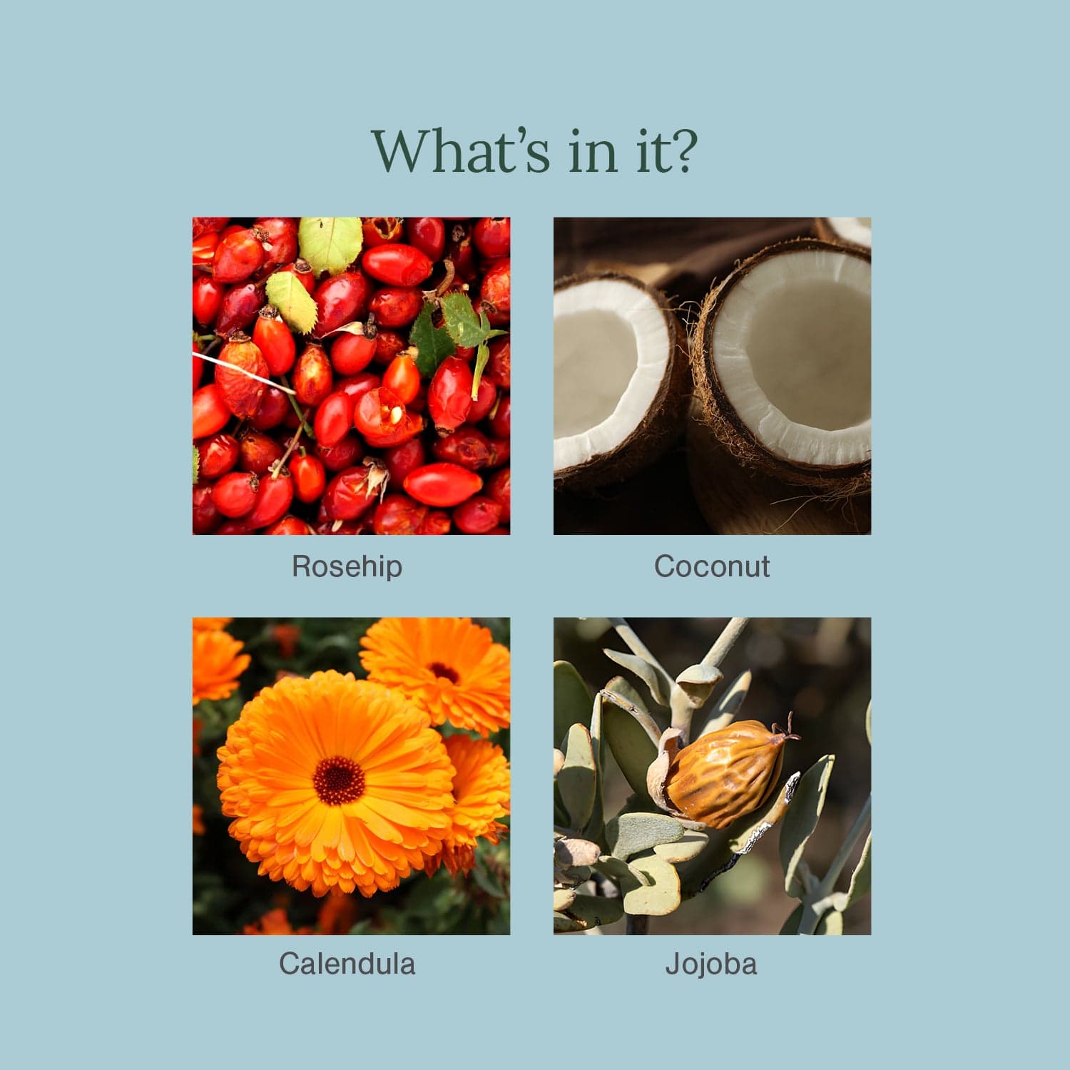 All-in-One Heal & Repair Balm Fortified with Rosehip + Calendula