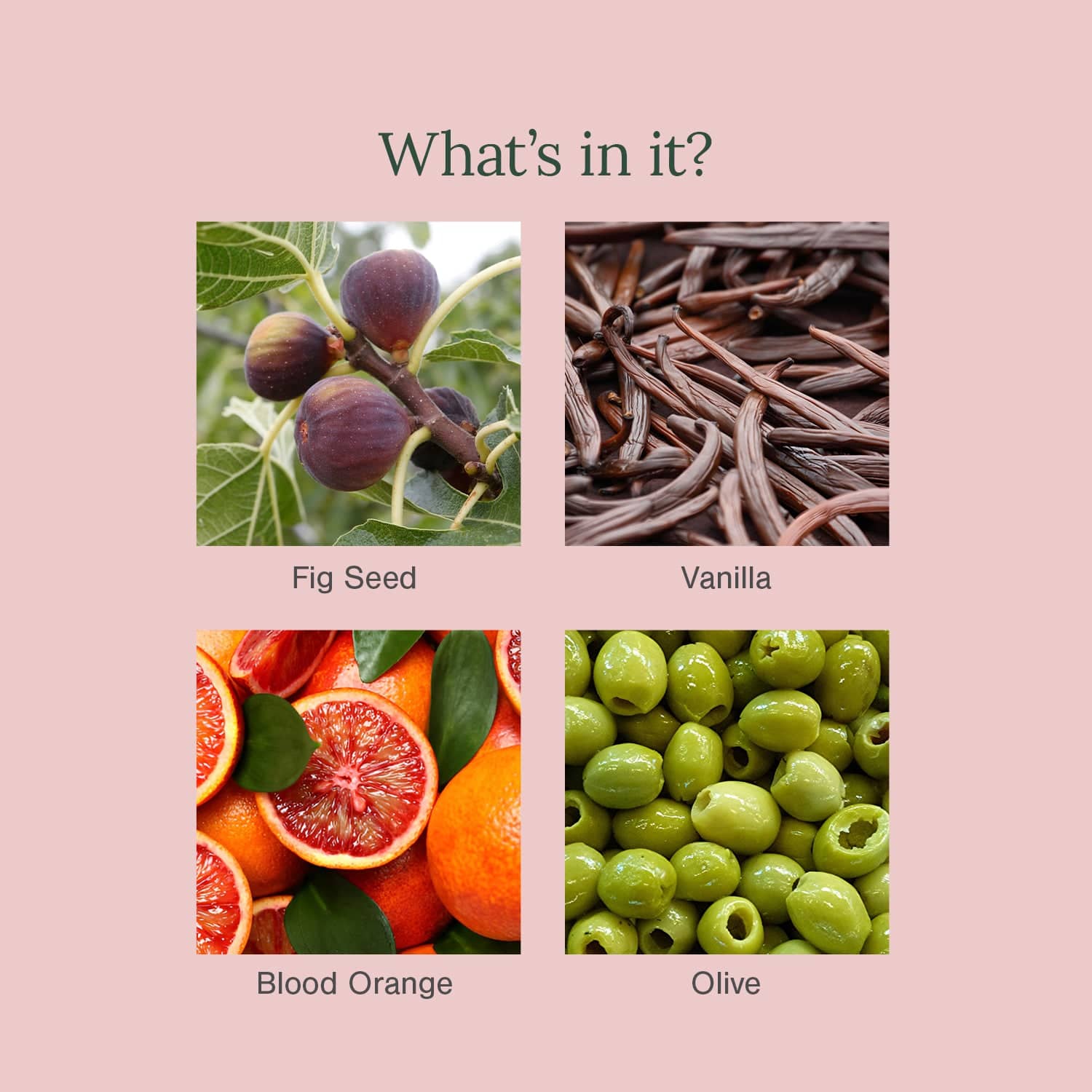 Organic Moisturising Body Butter Fortified with Blood Orange + Vanilla