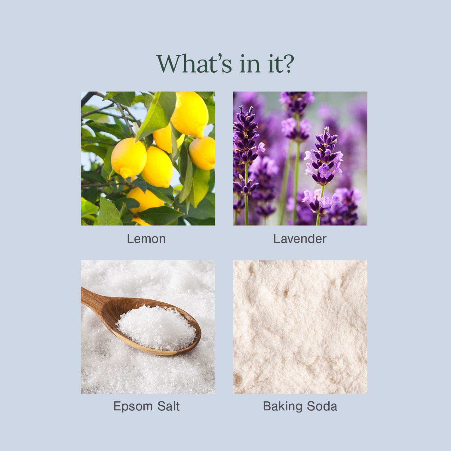 Organic Bath Salt/Foot Soak Fortified with Lemon + Lavender