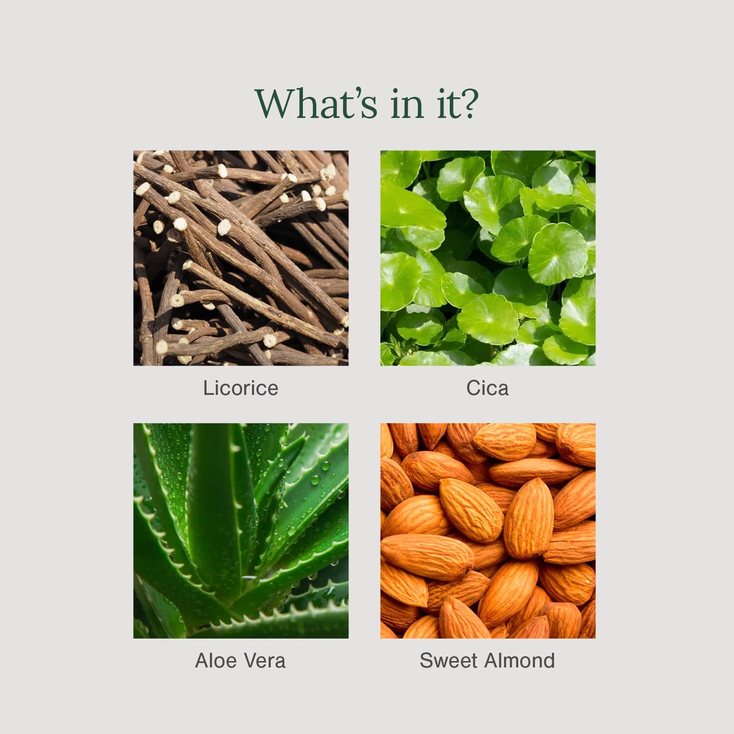 5% AHA + 2% BHA Underarm Roll-on Deodorant Fortified with Vanilla + Witch Hazel