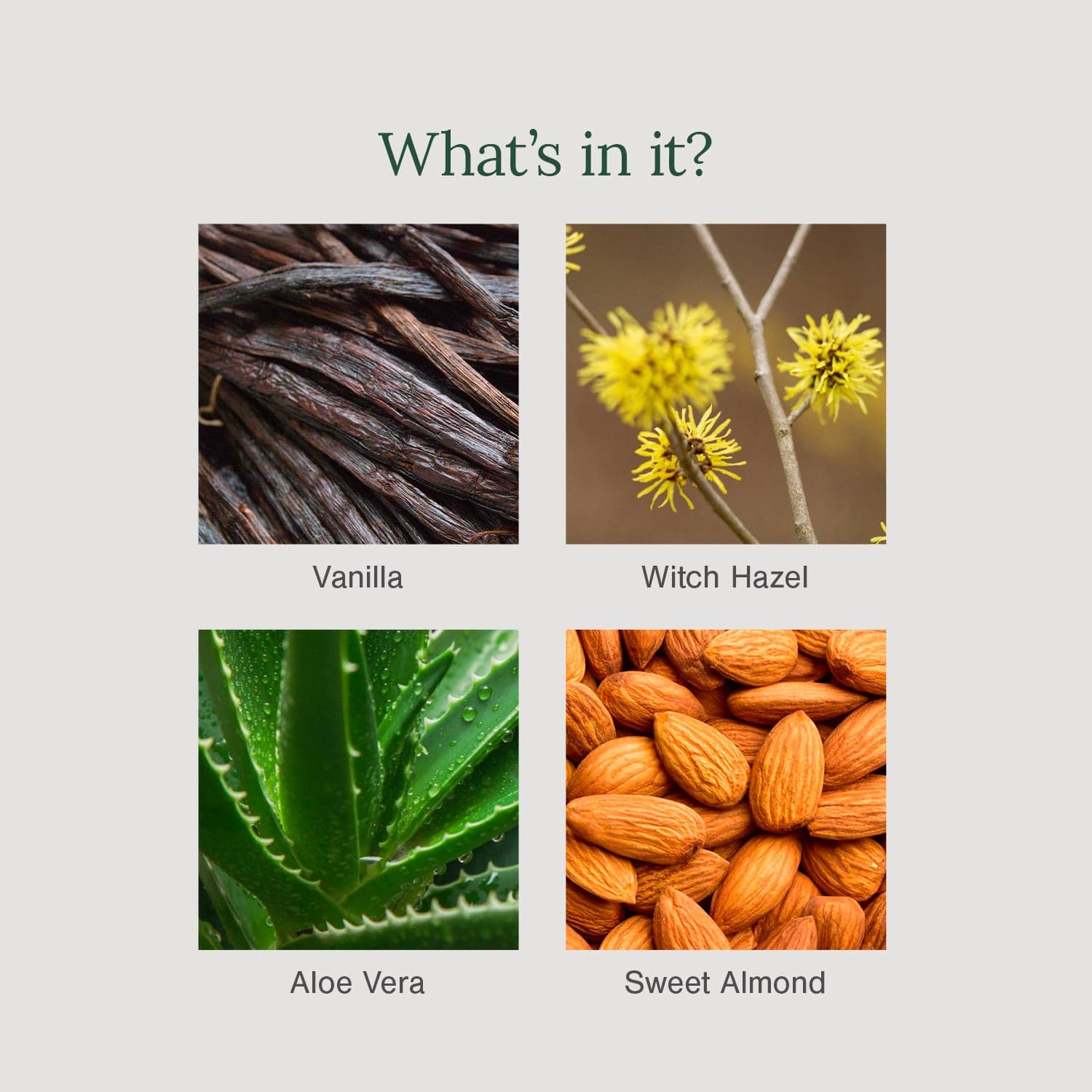 5% AHA + 2% BHA Underarm Roll-on Deodorant Fortified with Vanilla + Witch Hazel