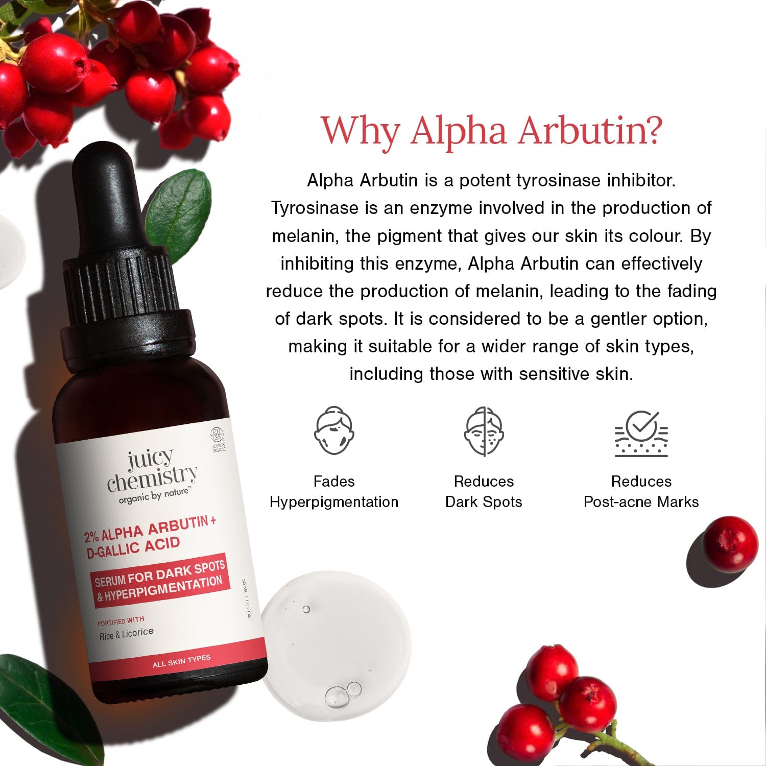 2% Alpha Arbutin + D-Gallic Acid Face Serum