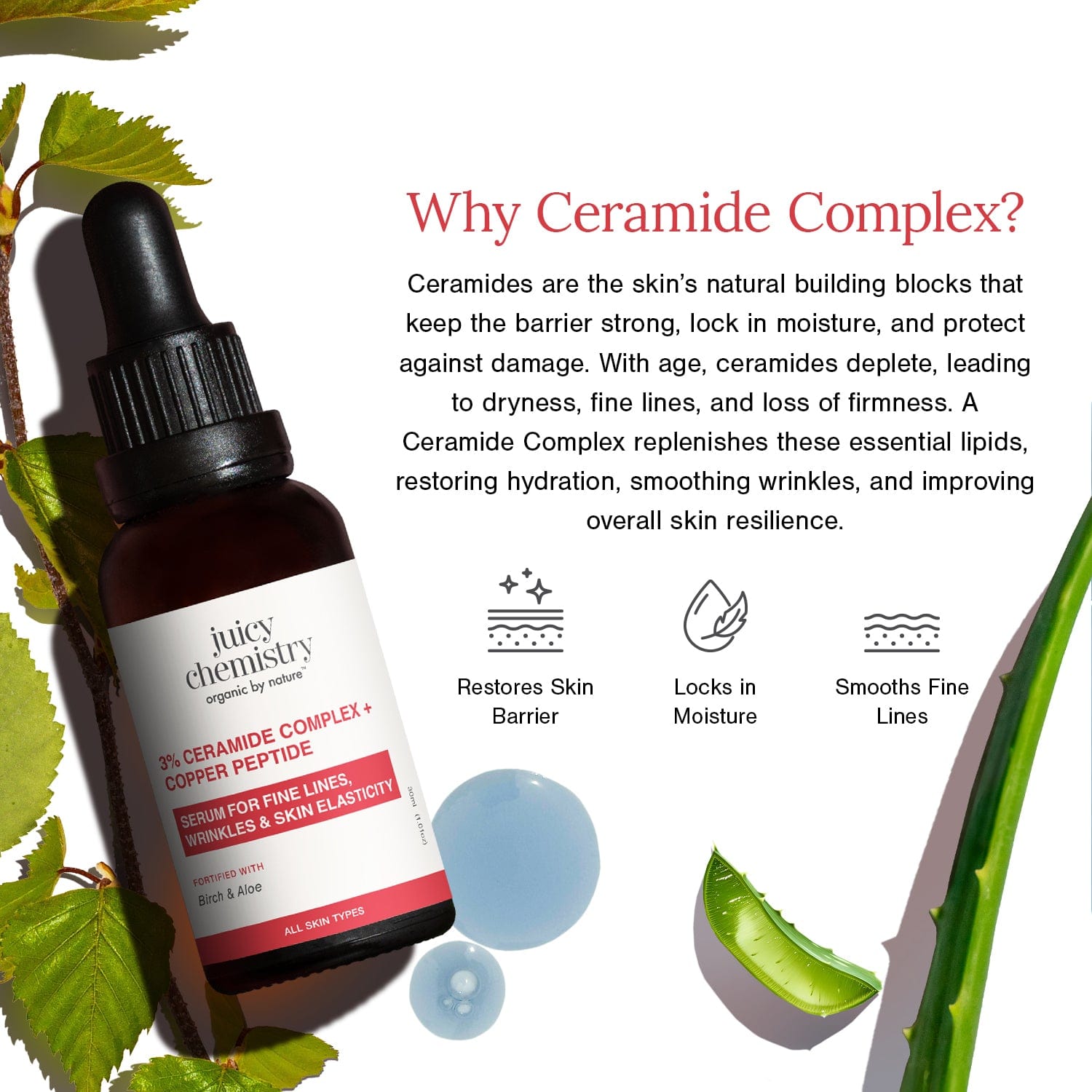 3% Ceramide Complex + Copper Peptide Face Serum