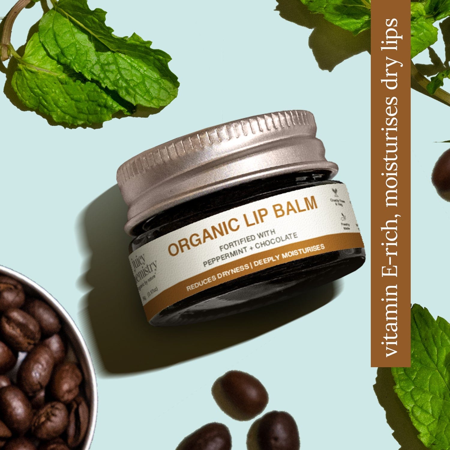 Organic Lip Balm Fortified with Peppermint + Chocolate