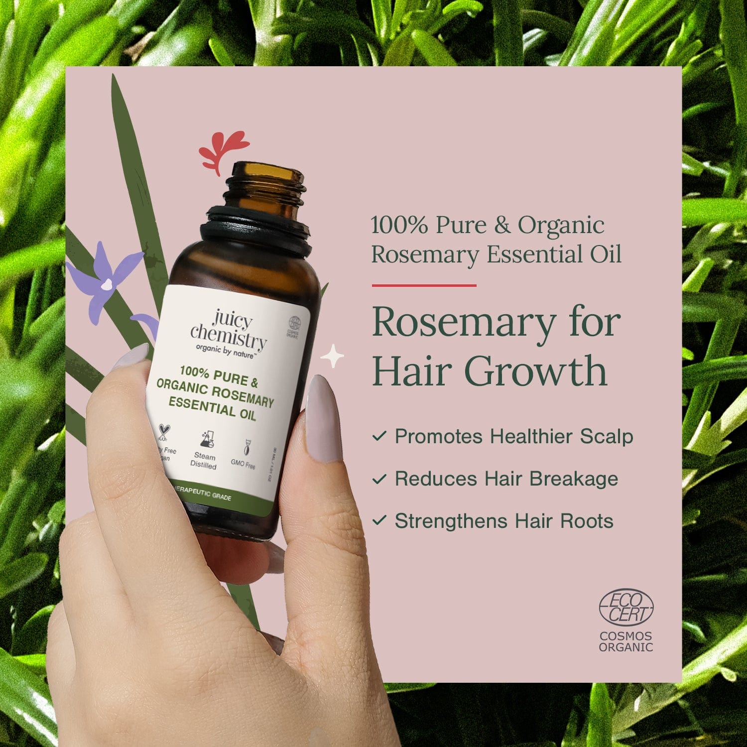 Organic Rosemary Essential Oil | Pure & Certified