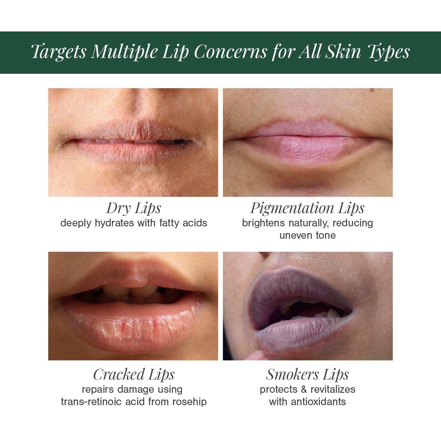 Organic Lip Balm Fortified with Blood Orange + Rosehip