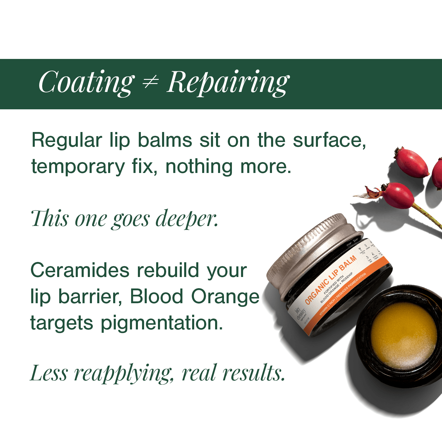 Organic Lip Balm Fortified with Blood Orange + Rosehip