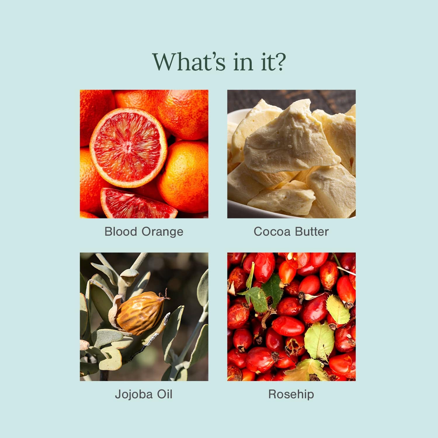 Organic Lip Balm Fortified with Blood Orange + Rosehip