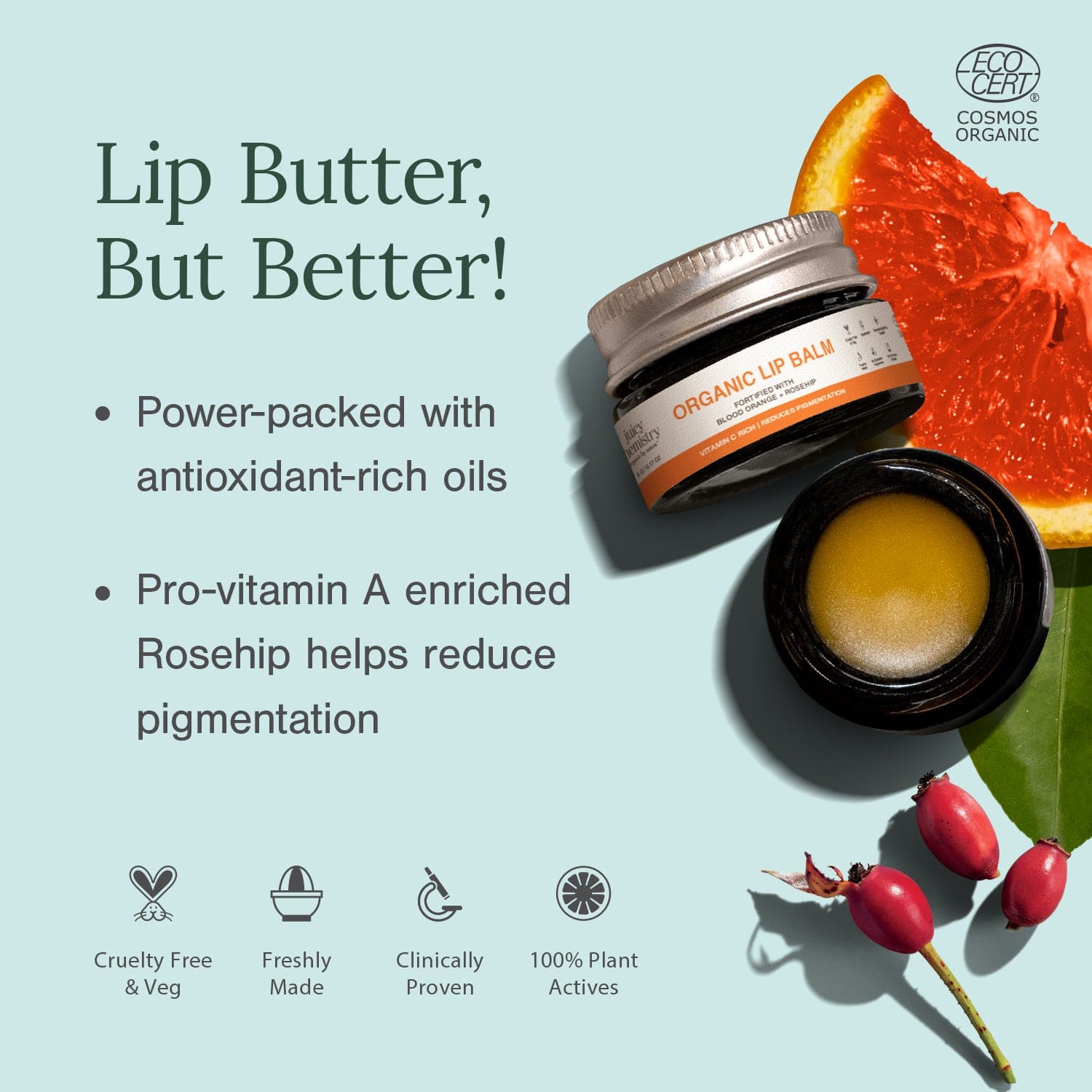 Organic Lip Balm Fortified with Blood Orange + Rosehip