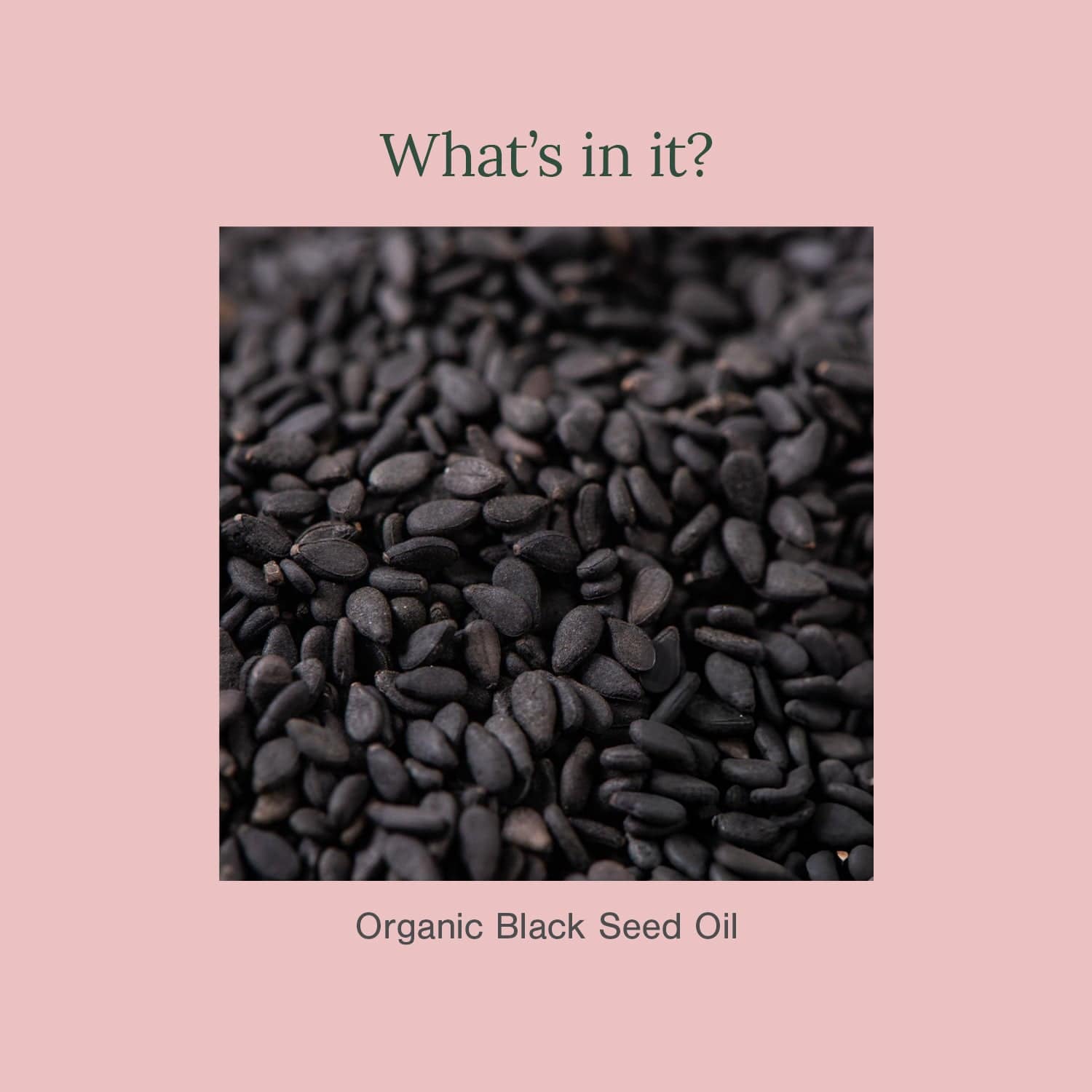Organic Black Seed (Kalonji Oil)