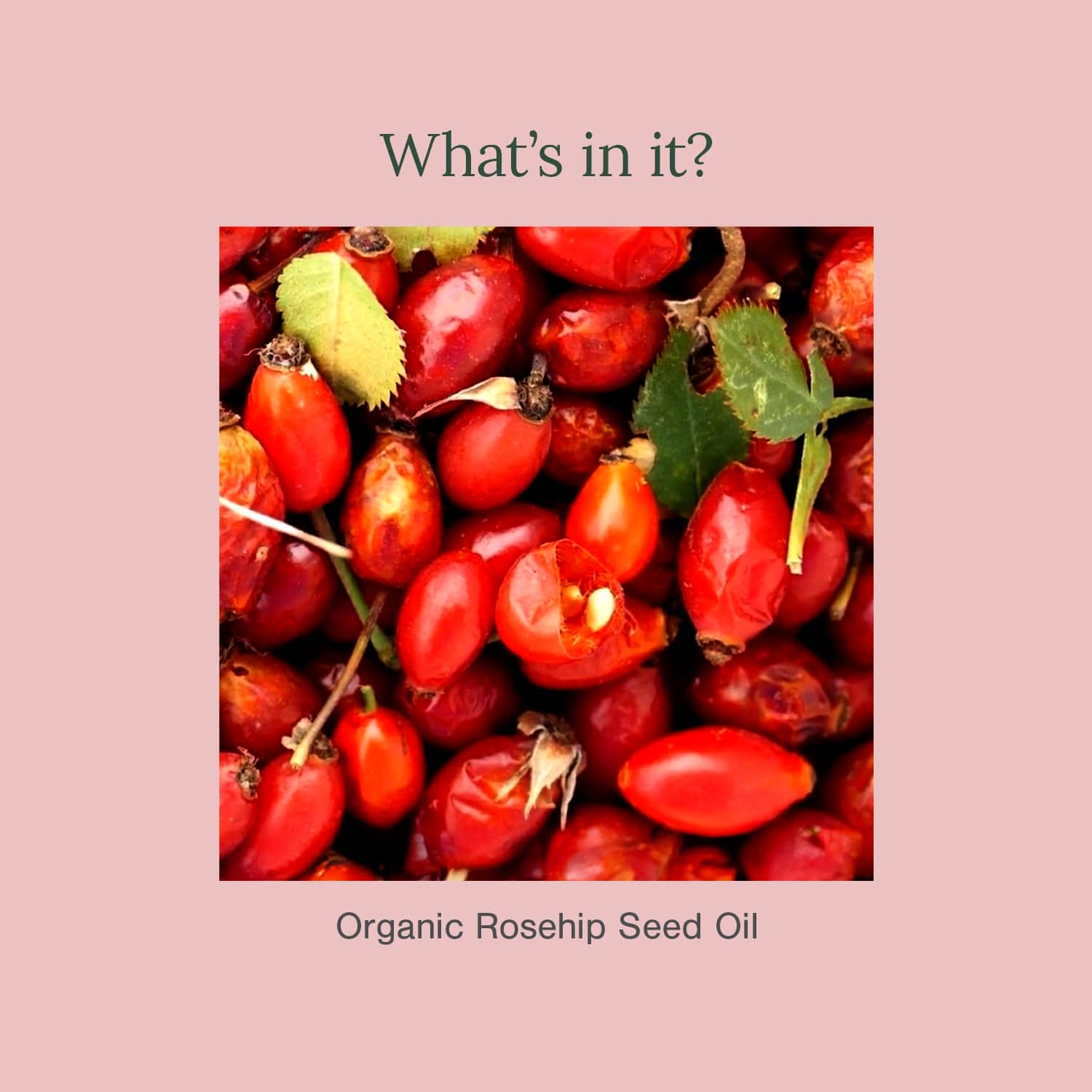 Cold Pressed Rosehip Seed Carrier Oil