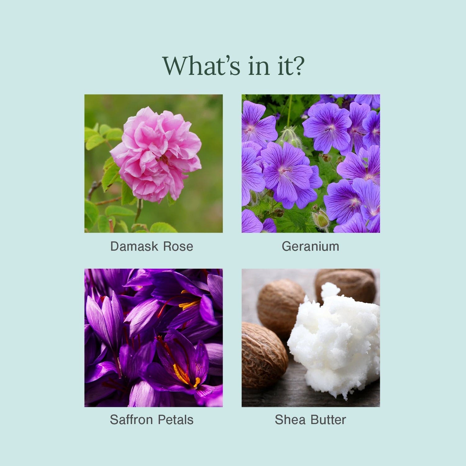 Ultra-Moisturising & Luxurious Organic Soaps