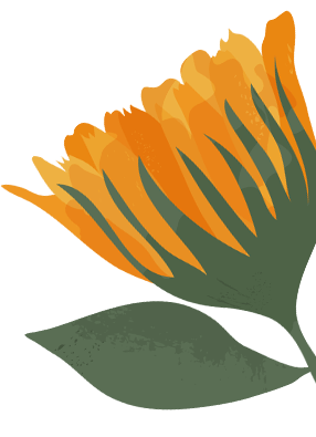 files/Flower_09ee4549-2ace-43b5-90b2-21f2ee3863fe.png
