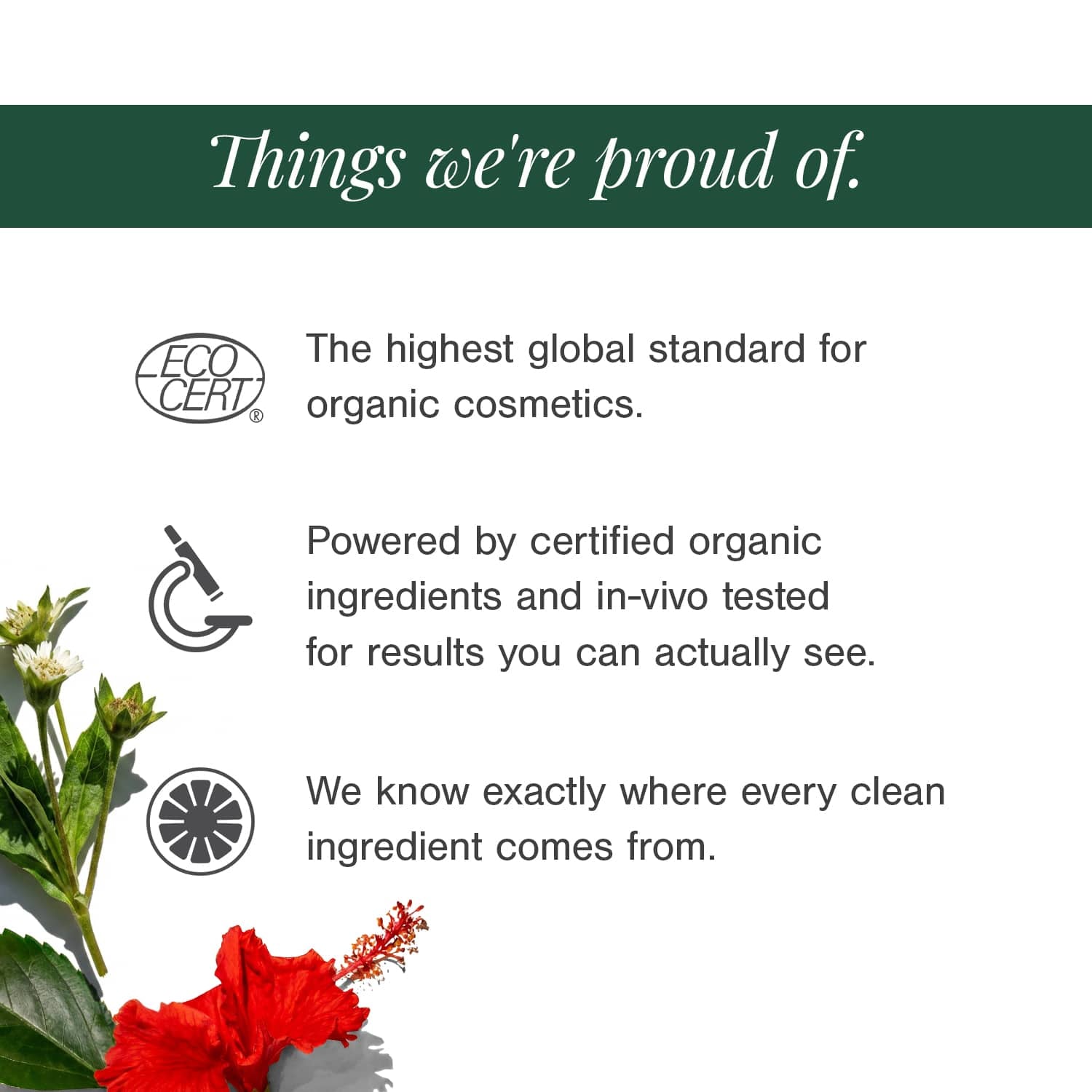Hair Oil for Premature Greying Fortified with Hibiscus + Bhringaraj