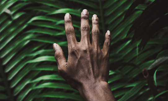 files/Hand_e7dee4c5-5120-4a5a-bfe7-49f6d6f4accc.png
