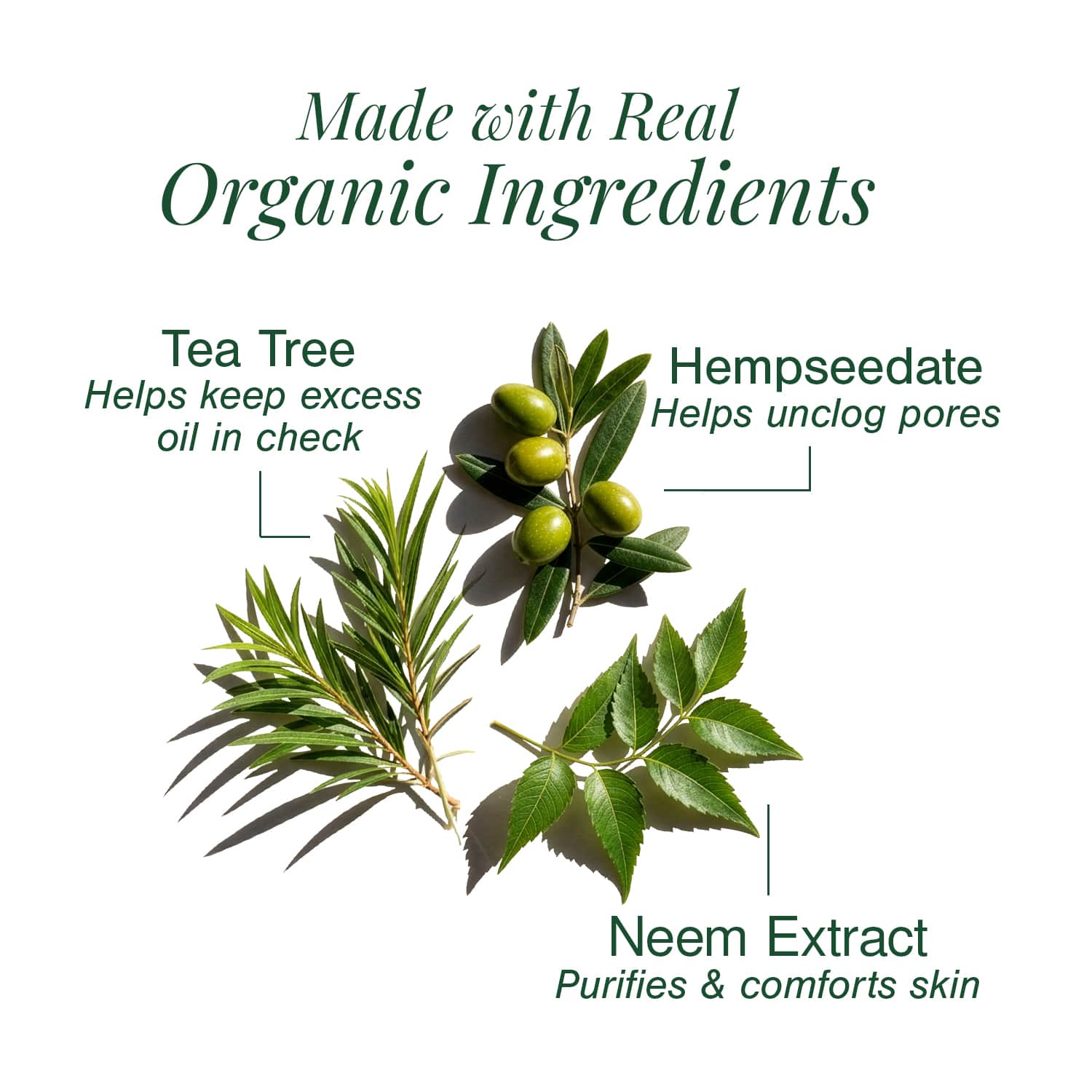 Certified Organic Acne & Pimples Control Face Wash Fortified with Hemp + Tea Tree
