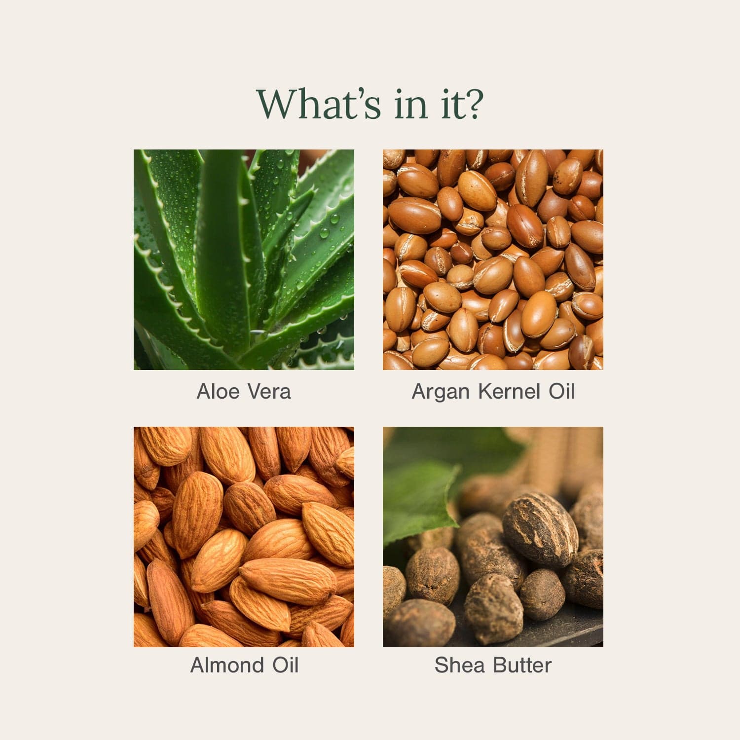 Moisturising Mineral Sunscreen Fortified with Aloe + Argan