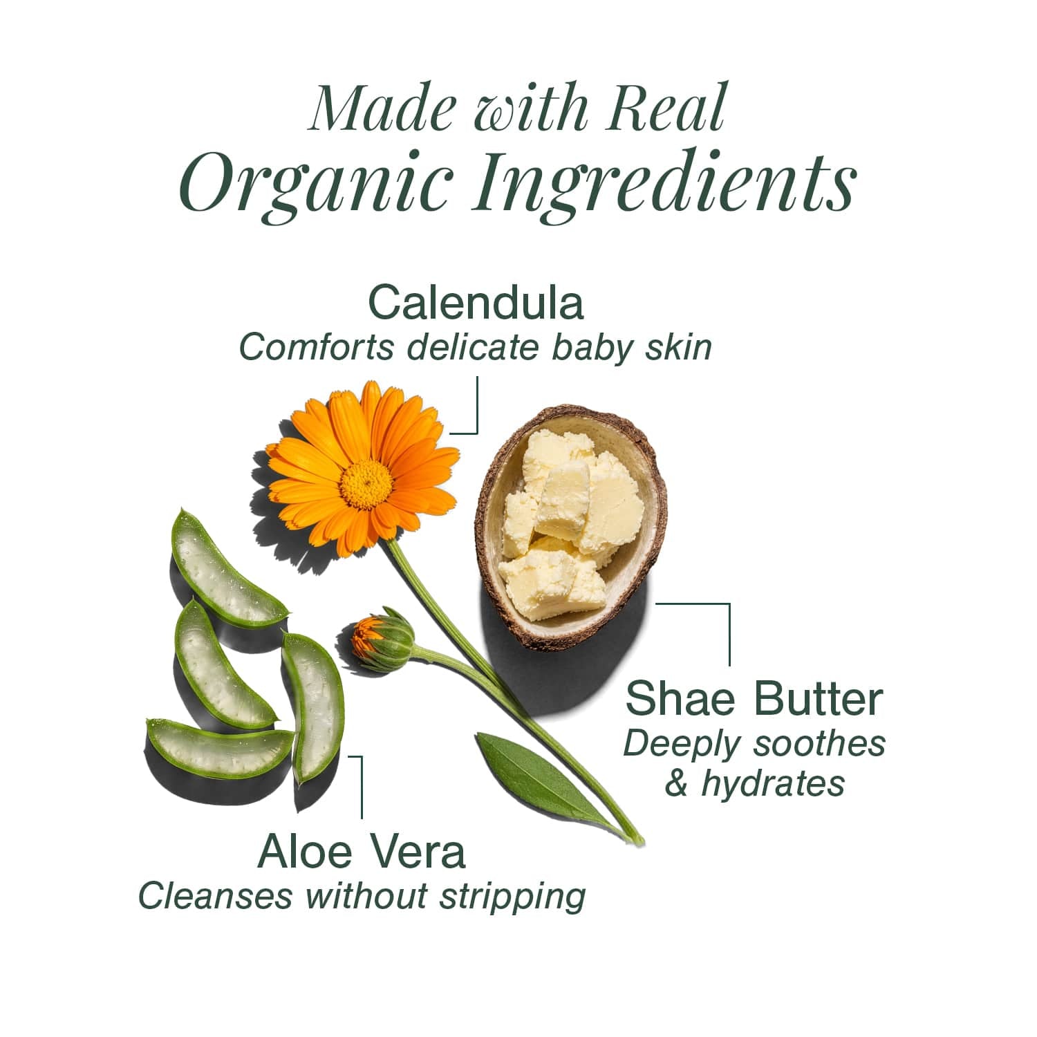 Ultra Moisturising & Luxury Organic Soap Fortified with Aloe + Calendula