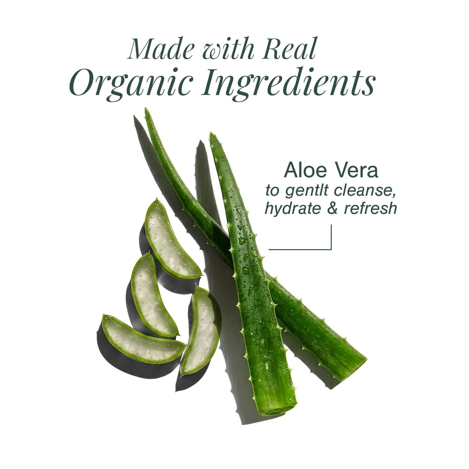 Organic Gentle Head-to-Toe Baby Wash Fortified with Aloe Vera