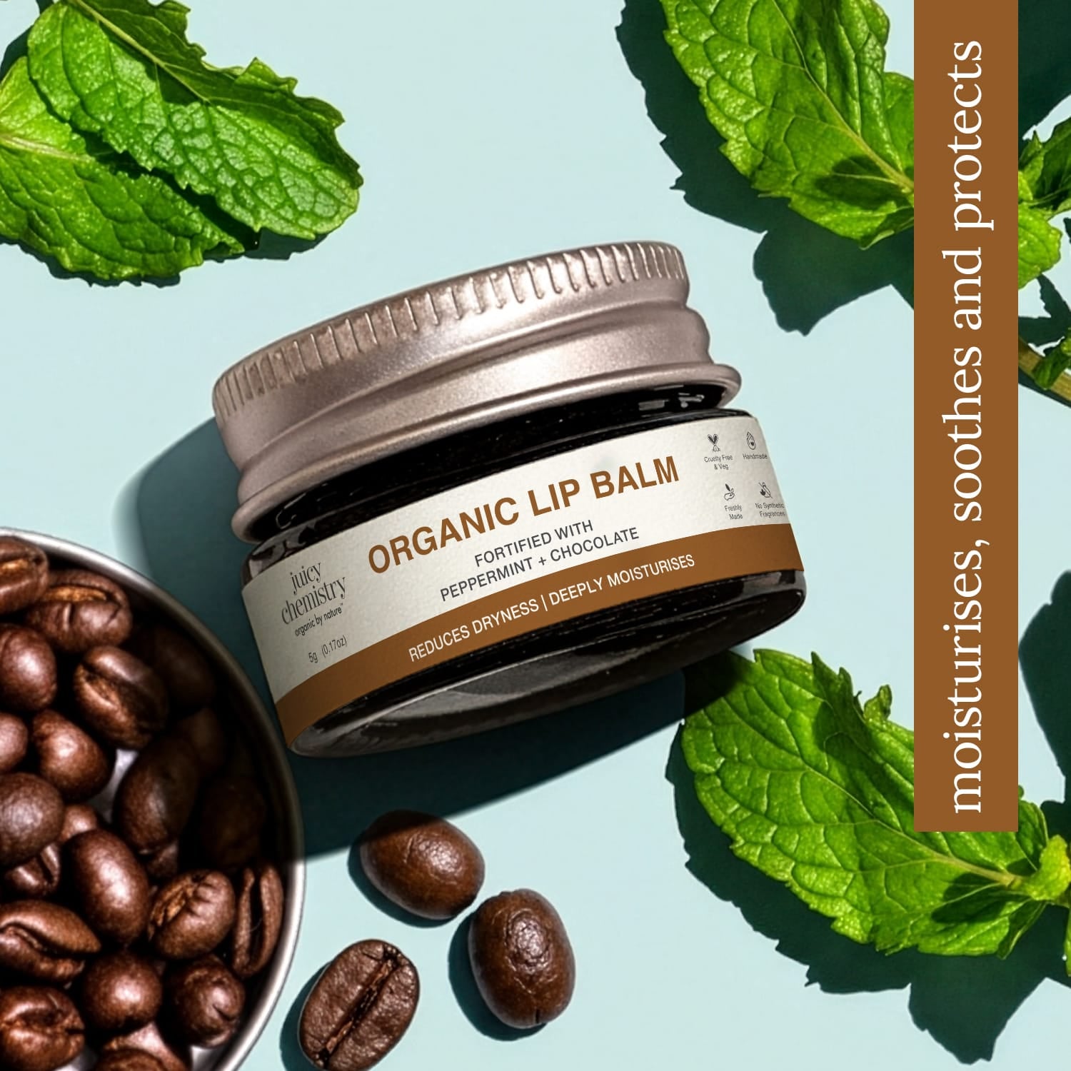 Organic Lip Balm Fortified with Vanilla Bean