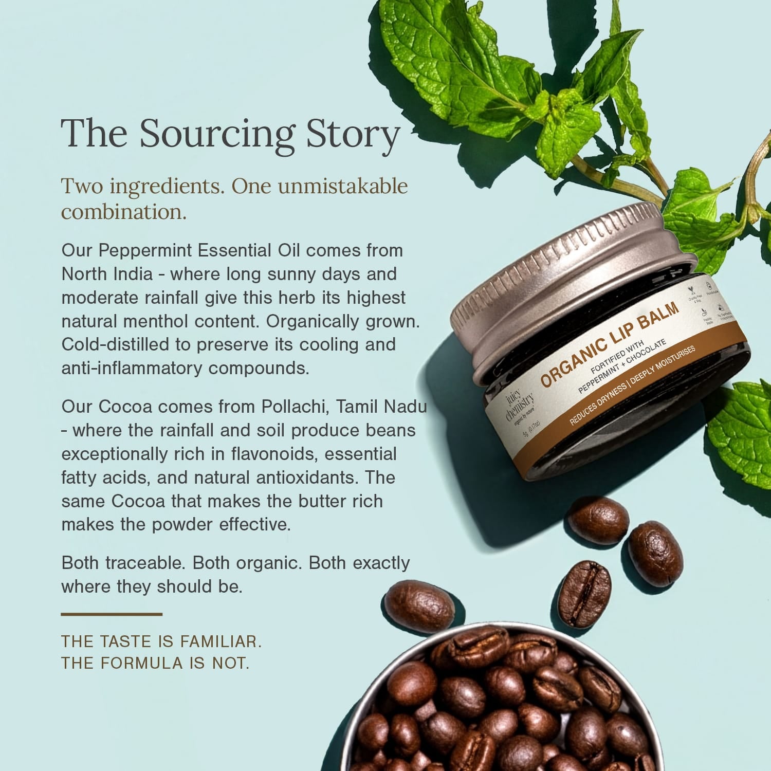 Organic Lip Balm Fortified with Vanilla Bean