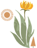 files/Source_1.png