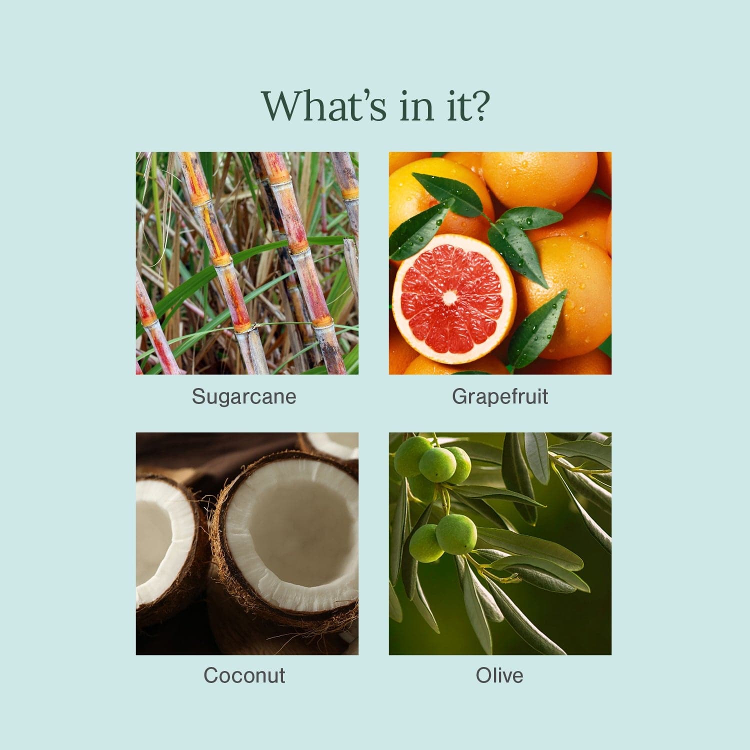 Ultra-Moisturising & Luxurious Organic Soaps
