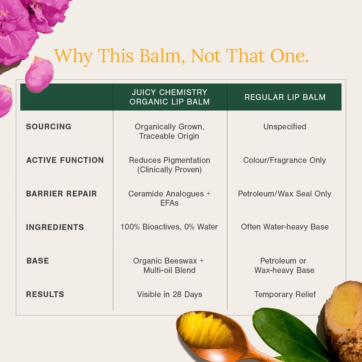 Organic Lip Balm Fortified with Lakadong Turmeric, Ghee & Rose