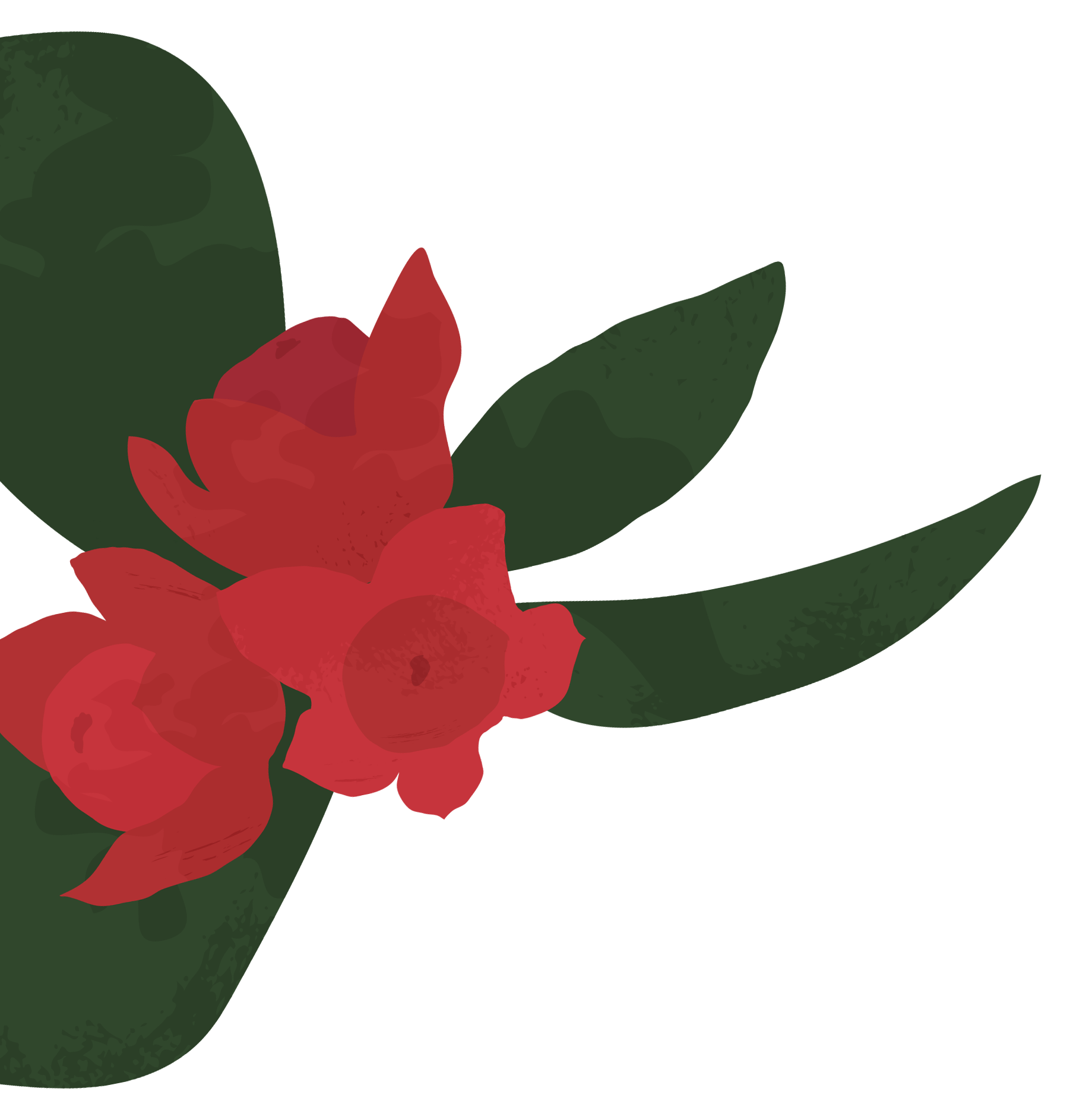 files/Wintergreen-JC.png