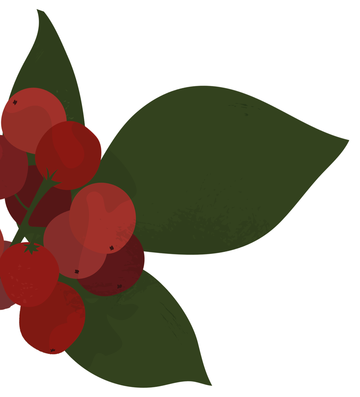 files/pepperbery-01_copy_2369431e-e09c-42a8-8cd4-2dd47e6cf3c3.png
