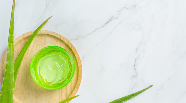 Aloe Vera for Face Benefits, Uses of Aloe Vera for Skin During Winter