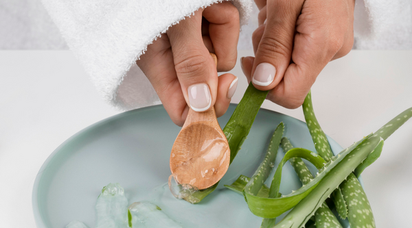Aloe vera gel moisturizer: An essential component of the skincare routine - Juicy chemistry