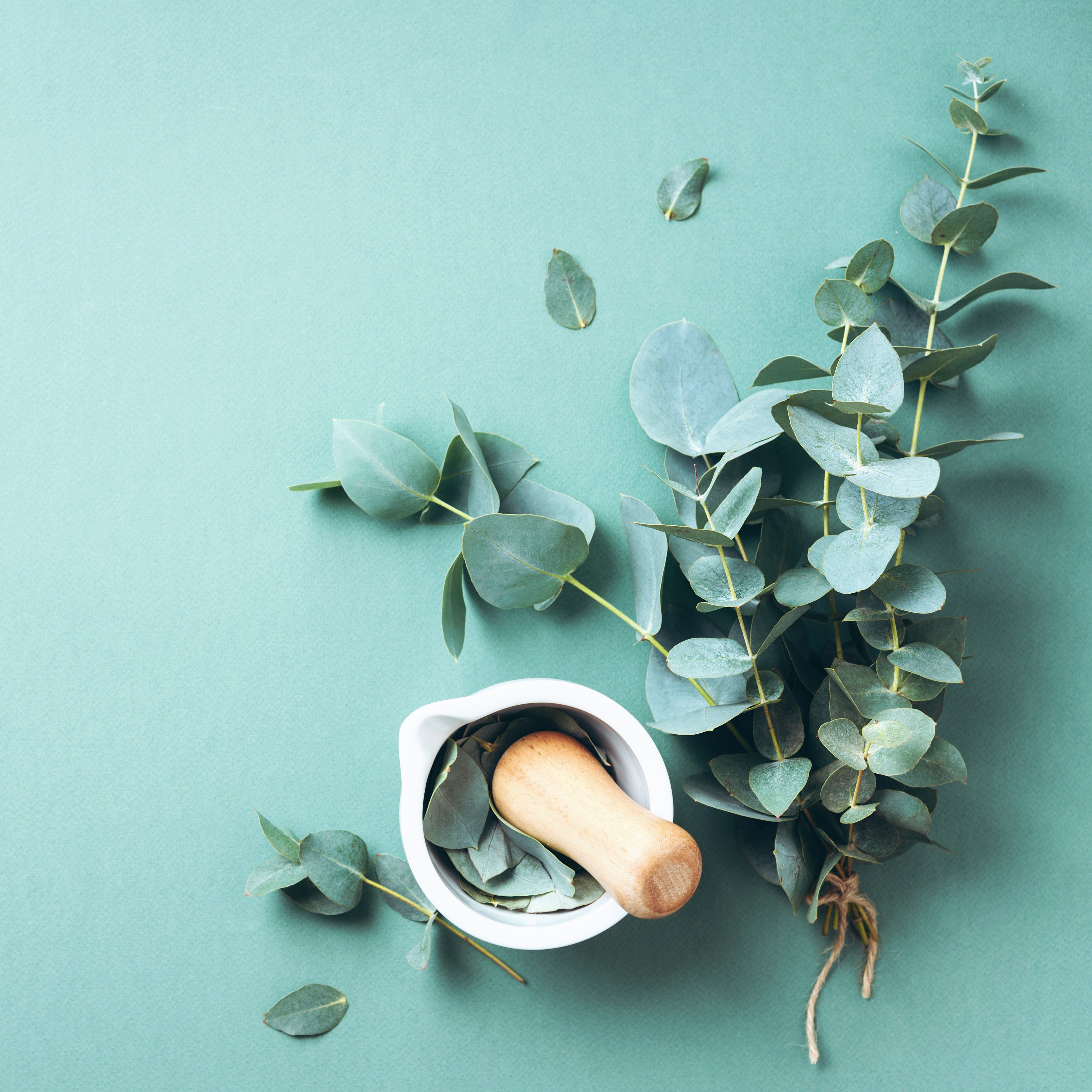 Benefits Of Eucalyptus Oil