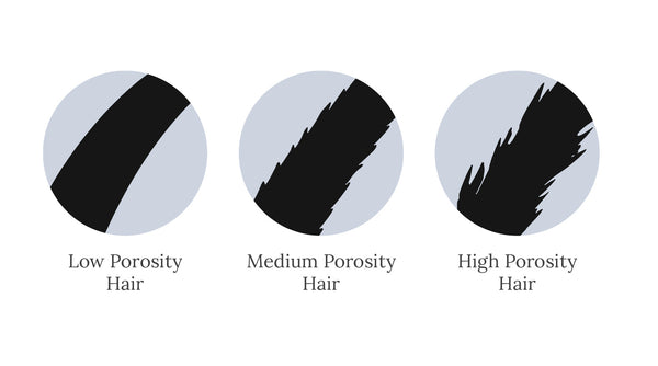 Hair Porosity Explained: How to Know If You Have Low, Medium or High Porosity Hair