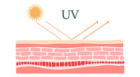 SPF, PA++++ & UVA-PF Explained: How to Actually Read a Sunscreen Label