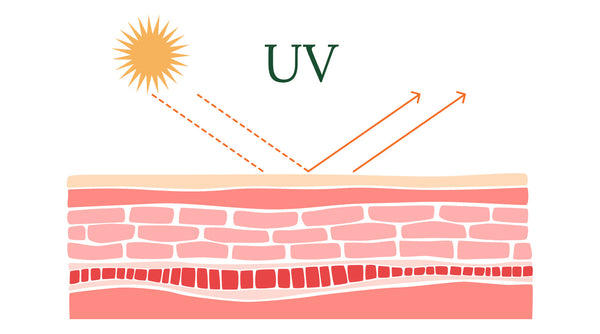 SPF, PA++++ & UVA-PF Explained: How to Actually Read a Sunscreen Label