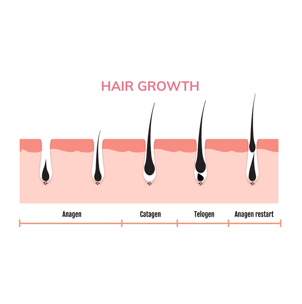 How To Make Hair Grow Faster