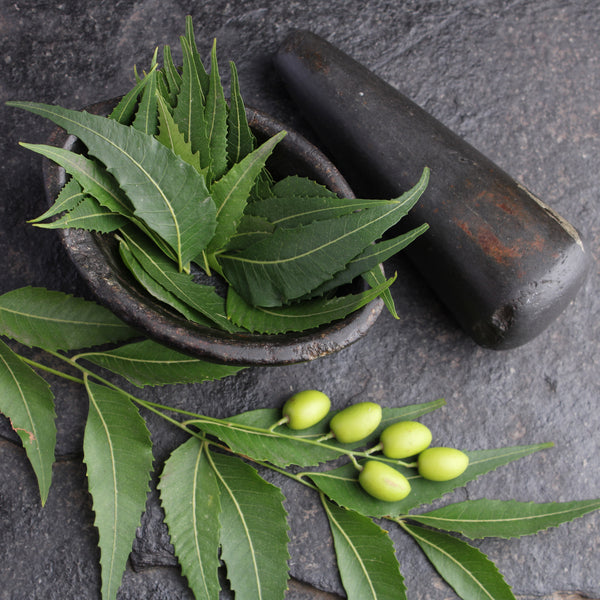 Neem Oil For Skin: Benefits And How To Use
