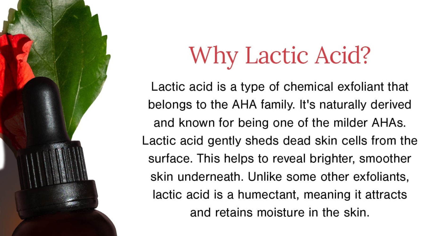 Lactic Acid in Skincare: Everything You Need to Know