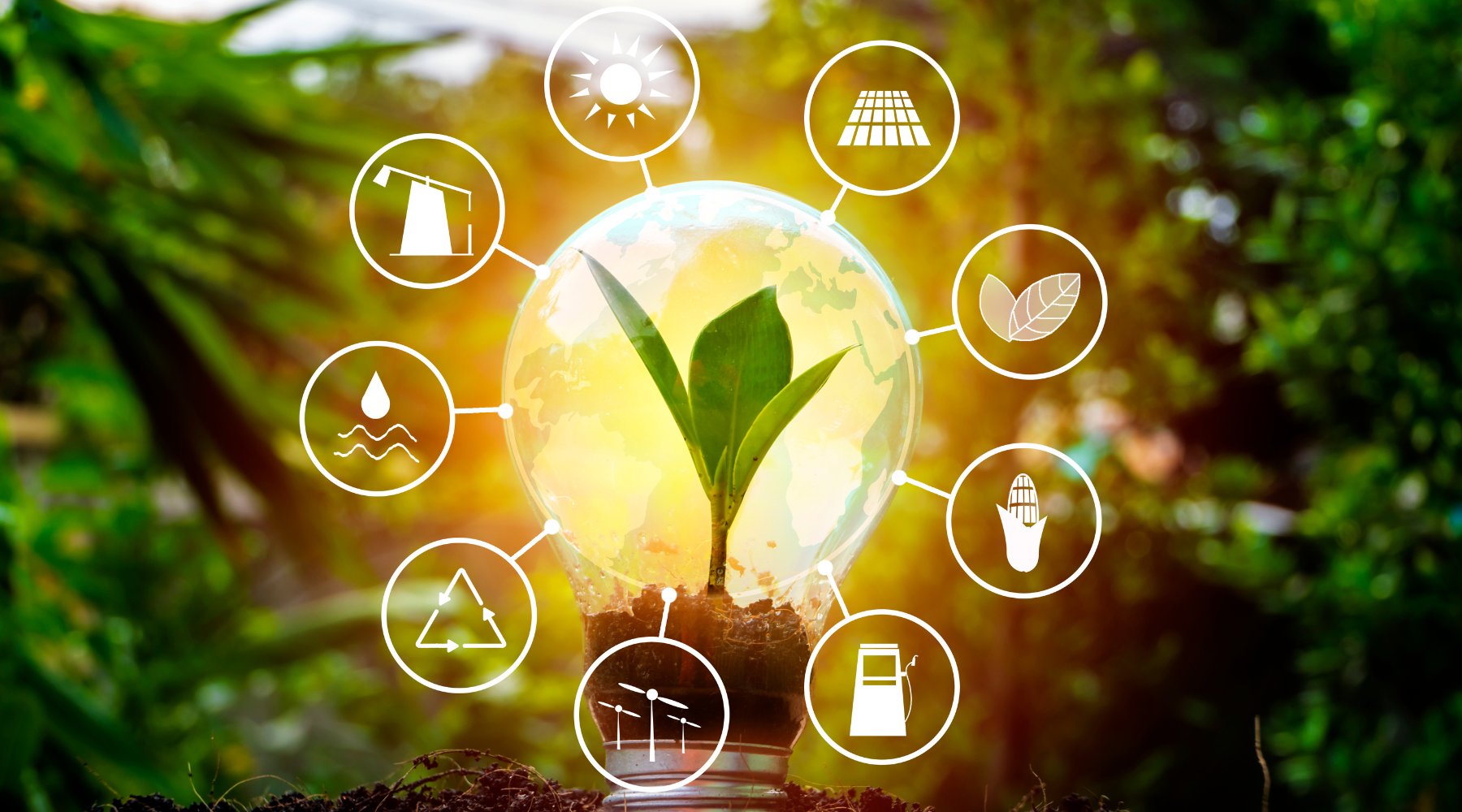 Why Sourcing Matters: Unlocking the True Potential of Your Ingredients