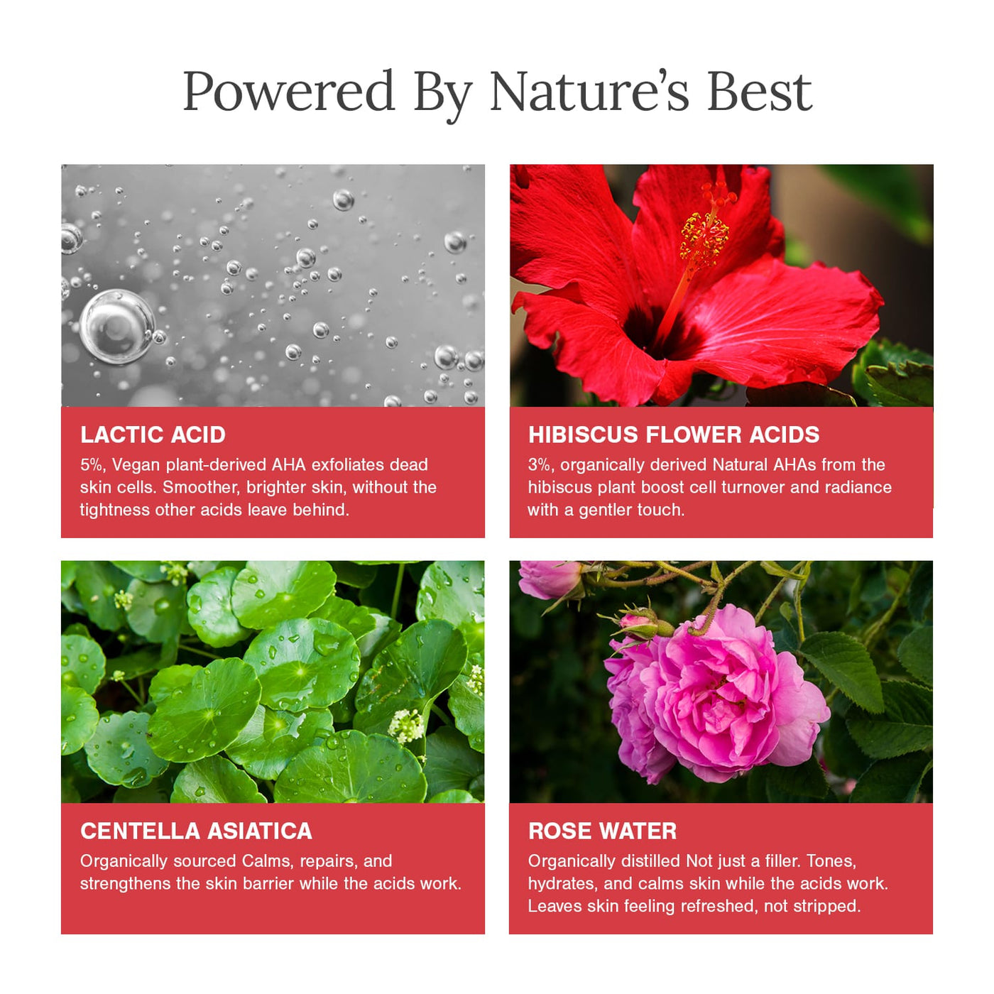5% Lactic Acid + 3% Flower Acids Face Serum image 2