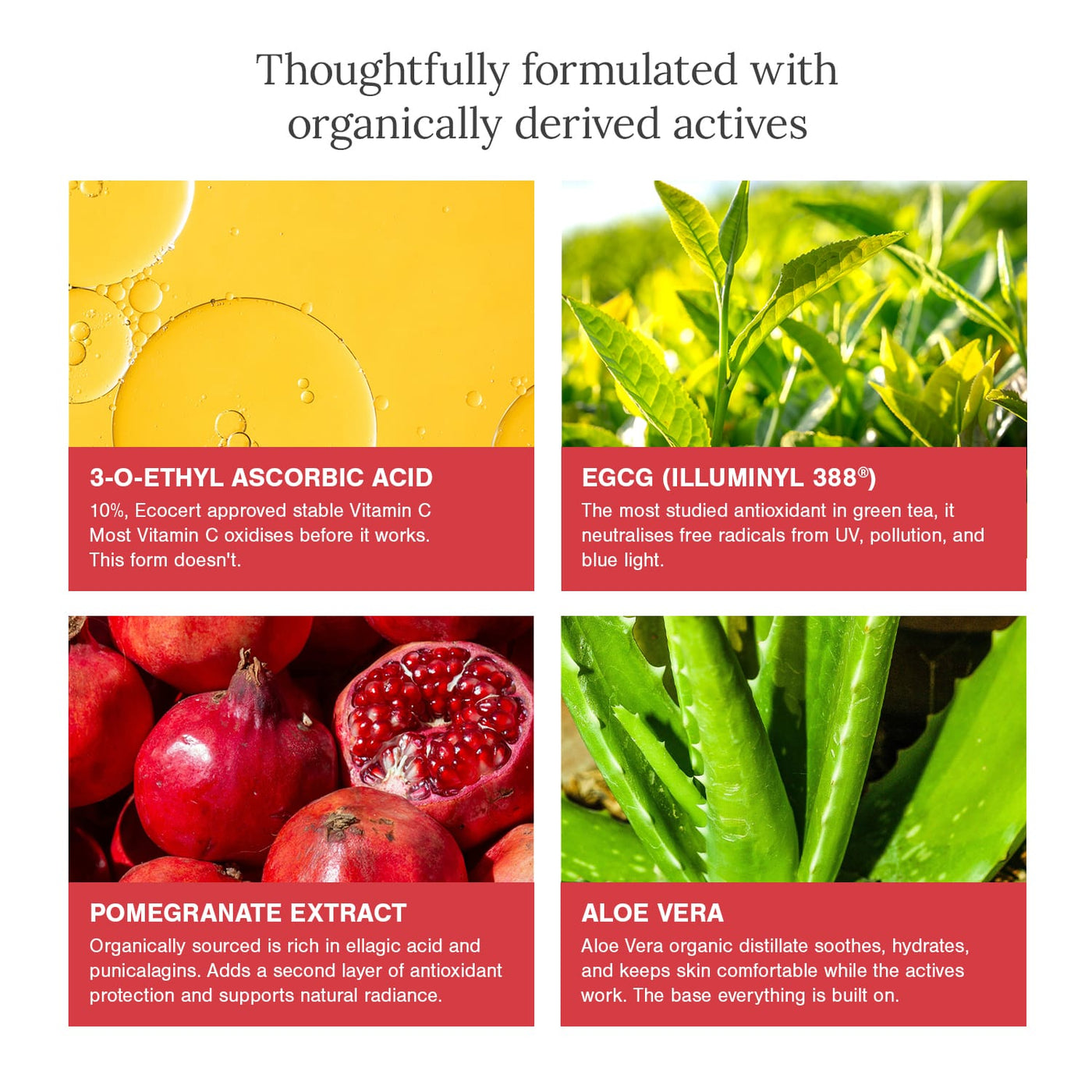 10% Vitamin C + EGCG Face Serum thumbnail 2
